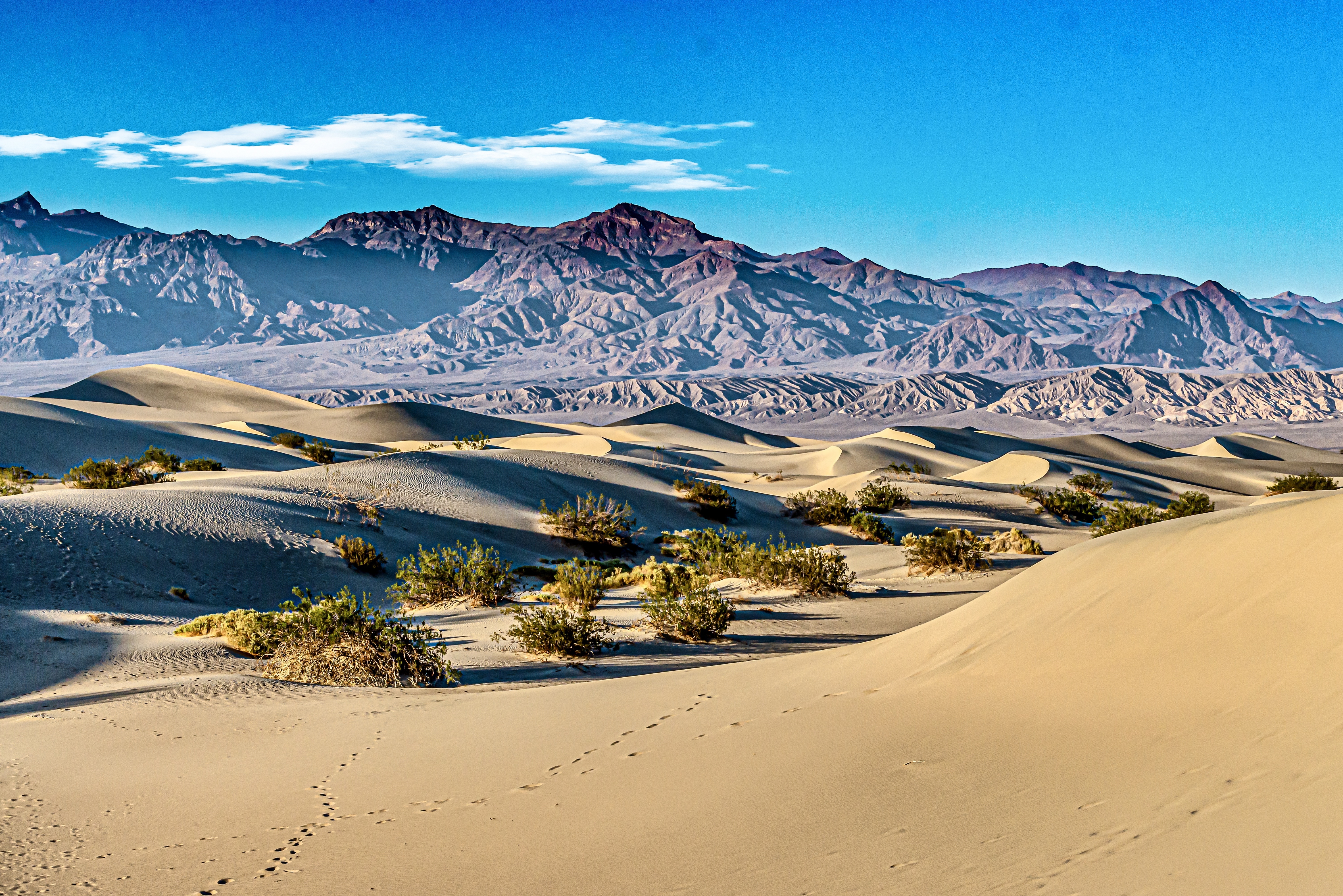 Desert